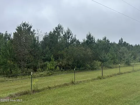 10 6 Crooked Run Rd, Willard, NC 28478