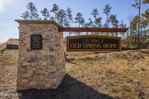 Other - 2700 River Meadow Ct, Spring Hope, NC 27882 photo 18 of 20