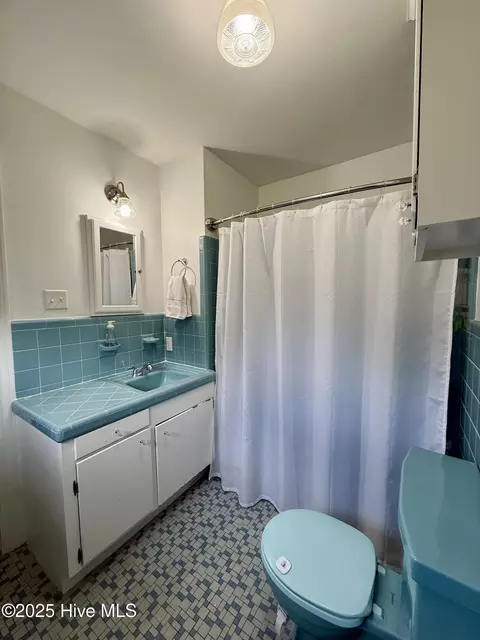 Bath - 1005 Pinecrest St, Williamston, NC 27892 photo 4 of 11