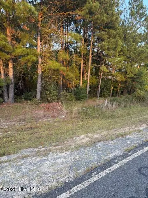 tbd Cognac Rd, Hamlet, NC 28345 photo 3