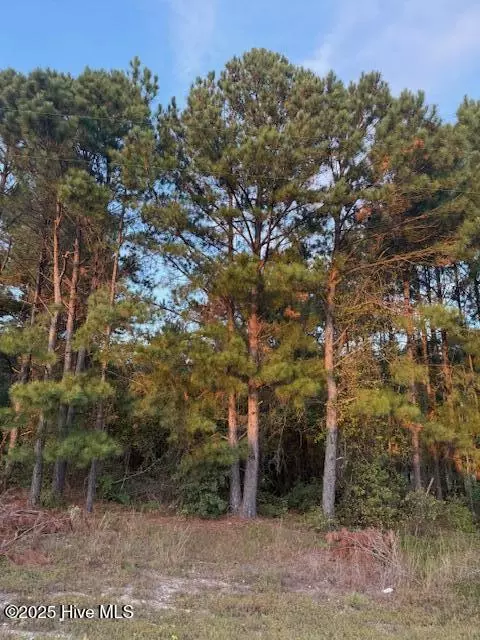 tbd Cognac Rd, Hamlet, NC 28345 photo 2