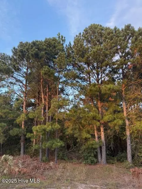 tbd Cognac Rd, Hamlet, NC 28345 photo 6