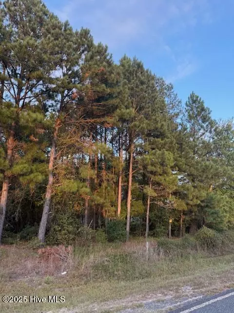tbd Cognac Rd, Hamlet, NC 28345 photo 5
