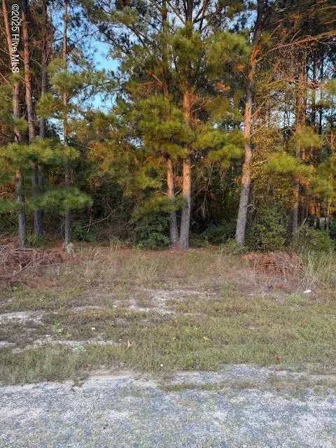 tbd Cognac Rd, Hamlet, NC 28345