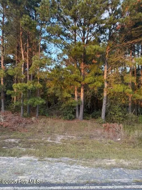 tbd Cognac Rd, Hamlet, NC 28345 photo 4