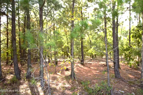 1035 Mill Rd, Jackson Springs, NC 27281
