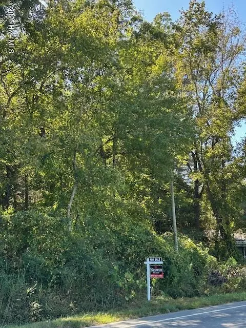 lot1 Nc Hwy 403, Faison, NC 28341