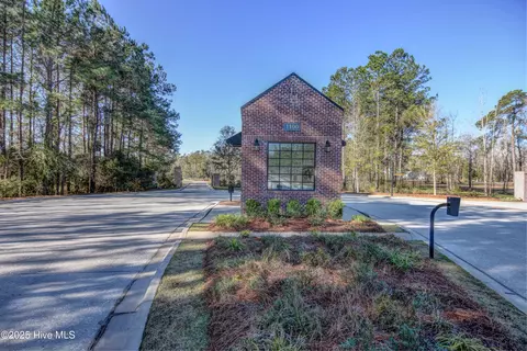 3722 White Cliffs Dr, Castle Hayne, NC 28429 photo 111