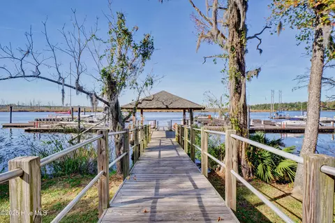 3722 White Cliffs Dr, Castle Hayne, NC 28429 photo 105