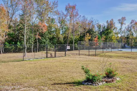 3722 White Cliffs Dr, Castle Hayne, NC 28429 photo 104