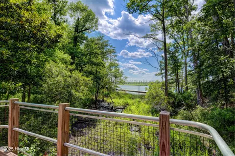 3722 White Cliffs Dr, Castle Hayne, NC 28429 photo 83