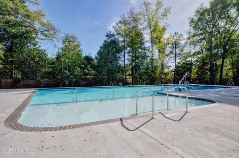3722 White Cliffs Dr, Castle Hayne, NC 28429 photo 100