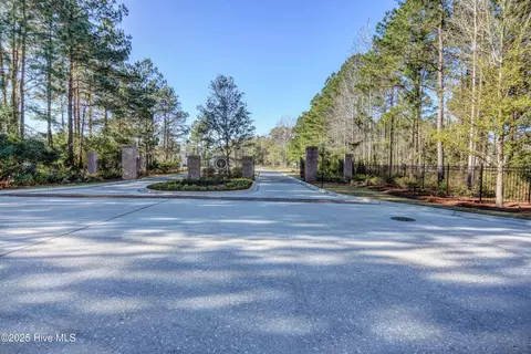3722 White Cliffs Dr, Castle Hayne, NC 28429 photo 110