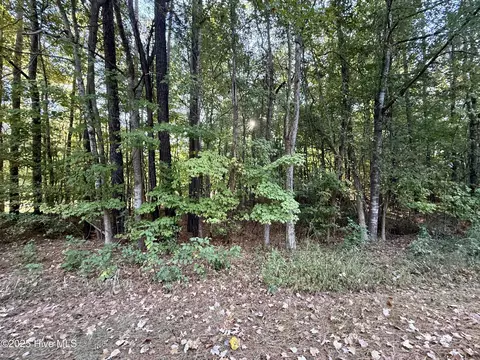 tbd Clark St, Hertford, NC 27944