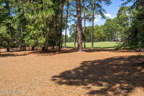 12 Lasswade Dr, Pinehurst, NC 28374 photo 41