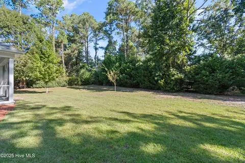 Exterior - 557 Button Bush Ln, Hampstead, NC 28443 photo 6 of 9
