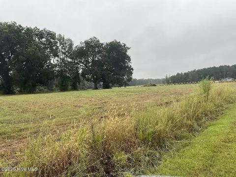 3564 Bill Hooks Lot 4 Rd, Clarkton, NC 28433