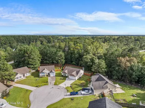 208 Demetrius Ct, Hubert, NC 28539 photo 52