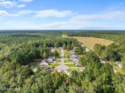 208 Demetrius Ct, Hubert, NC 28539 photo 53