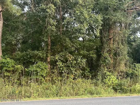 4595 Mercer Mill Brown Marsh Rd, Clarkton, NC 28433