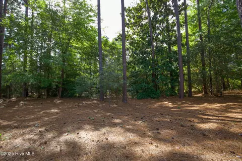 Exterior - 100 Beaver Ln, Pinehurst, NC 28374 photo 8 of 9