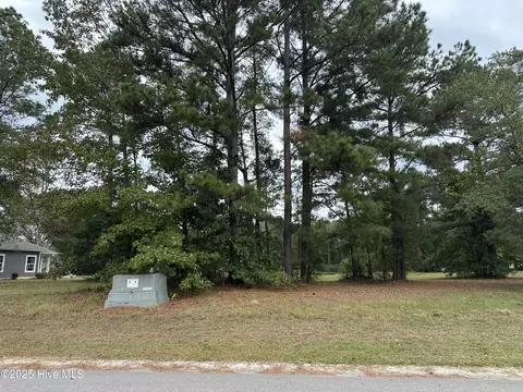 173 Cherry Laurel Dr, Wallace, NC 28466