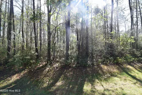 900 River Reach Ct, New Bern, NC 28560