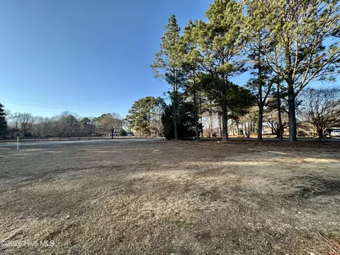 100 Chris St, Mount Olive, NC 28365 photo 29