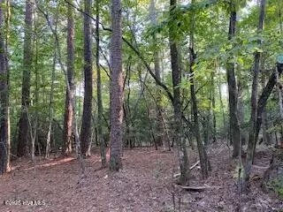 91 Palomino Rd # A, Carthage, NC 28327