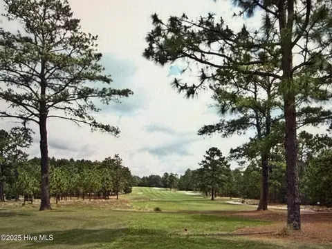 Other - 294 Juniper Creek Blvd, Pinehurst, NC 28374 photo 13 of 23