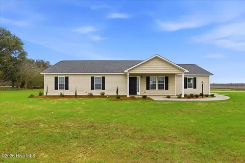 1581 Thunder Swamp Rd, Mount Olive, NC 28365