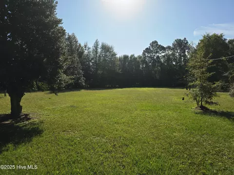 205 Bruce St, Fair Bluff, NC 28439