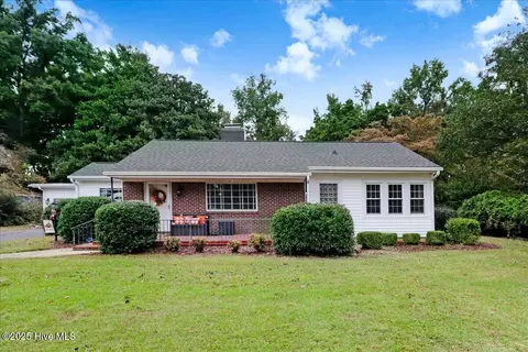 Other - 314 Smith Chapel Rd, Mount Olive, NC 28365 photo 2 of 12