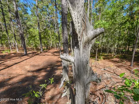Exterior - 224 Foxfire Rd, Aberdeen, NC 28315 photo 4 of 8
