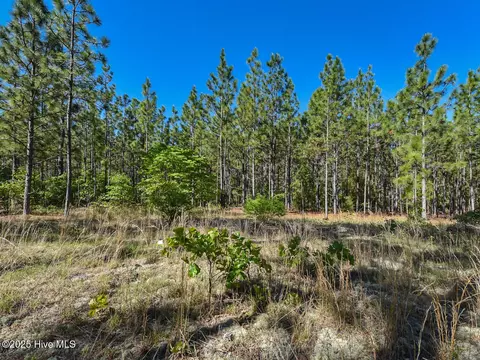 Other - 224 Foxfire Rd, Aberdeen, NC 28315 photo 1 of 8