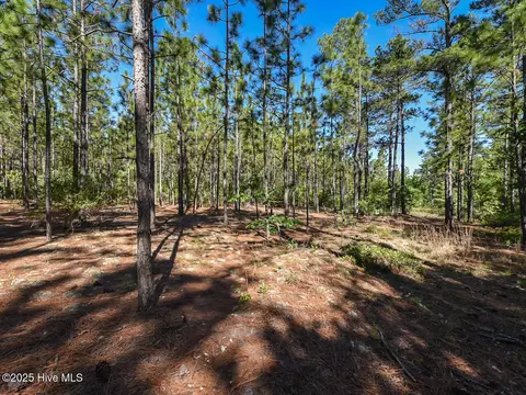 Other - 224 Foxfire Rd, Aberdeen, NC 28315 photo 3 of 8