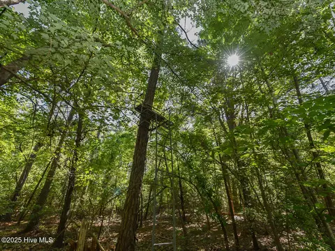 Exterior - 224 Foxfire Rd, Aberdeen, NC 28315 photo 3 of 8