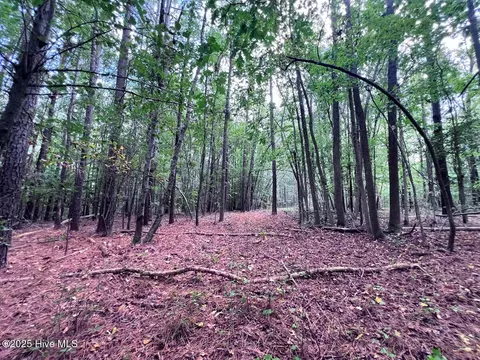 0 Old Lewis School Rd, Middlesex, NC 27557 photo 26