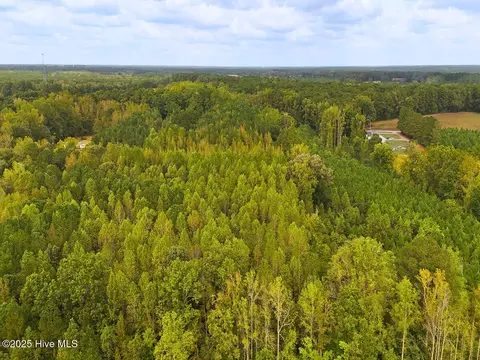 0 Old Lewis School Rd, Middlesex, NC 27557 photo 15
