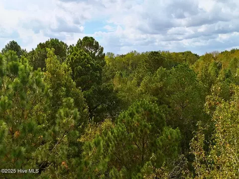 0 Old Lewis School Rd, Middlesex, NC 27557 photo 30