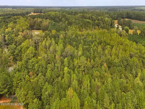 0 Old Lewis School Rd, Middlesex, NC 27557 photo 8