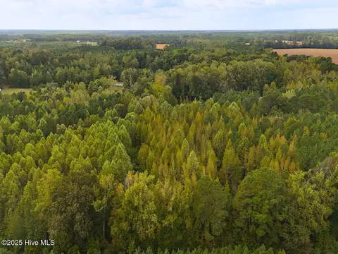 0 Old Lewis School Rd, Middlesex, NC 27557 photo 22