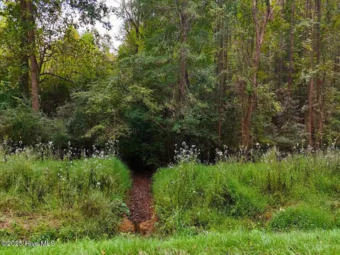 0 Old Lewis School Rd, Middlesex, NC 27557 photo 33