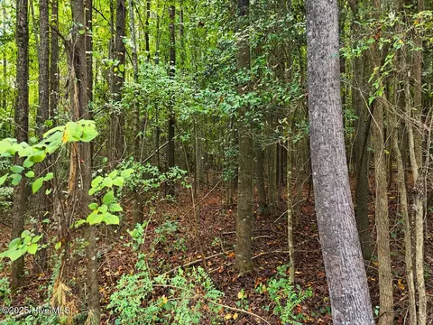 0 Old Lewis School Rd, Middlesex, NC 27557 photo 34