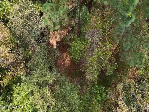 0 Old Lewis School Rd, Middlesex, NC 27557 photo 9