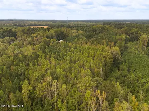 0 Old Lewis School Rd, Middlesex, NC 27557 photo 16