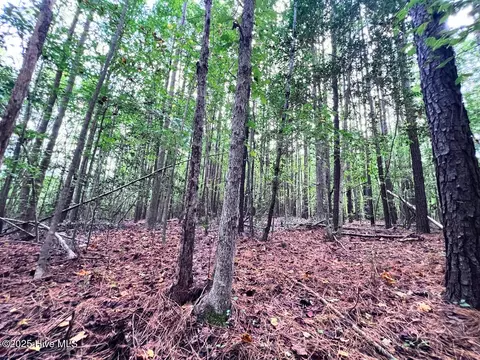 0 Old Lewis School Rd, Middlesex, NC 27557 photo 10