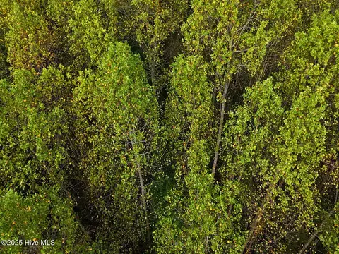 0 Old Lewis School Rd, Middlesex, NC 27557 photo 32