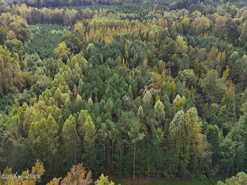 0 Old Lewis School Rd, Middlesex, NC 27557 photo 2