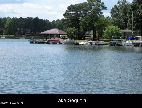 154 E Devonshire Ave, West End, NC 27376 photo 34